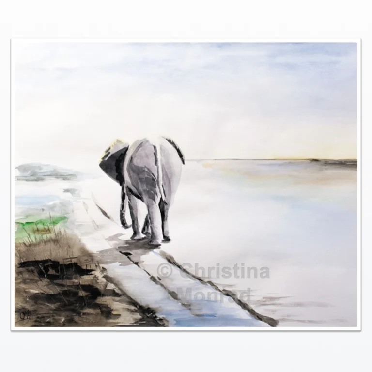 Akvarelmaleri af en elefant set bagfra, der går ad en sti ved vandet i et åbent landskab, malet af Christina Monrad.