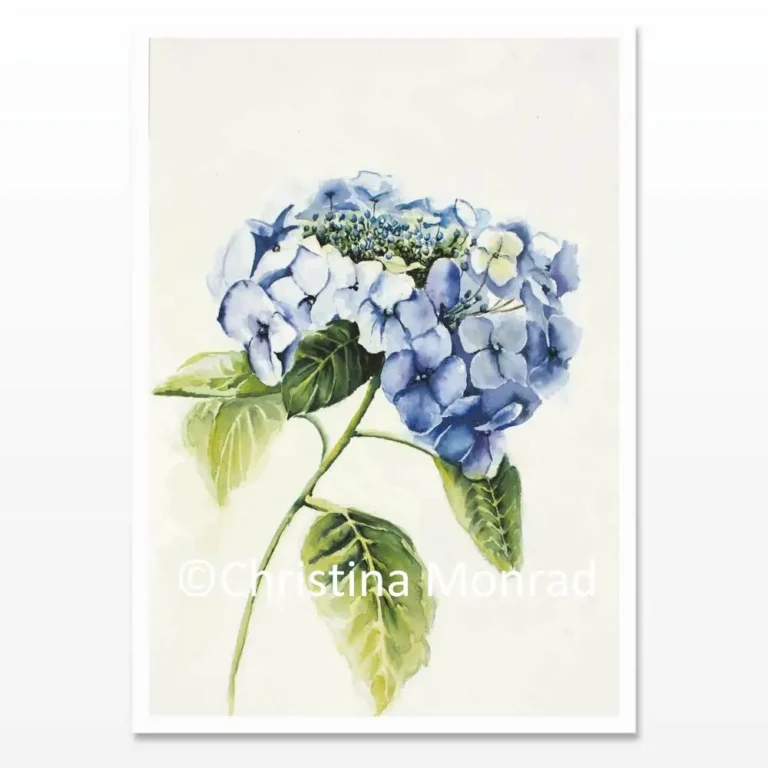A5 kort med hortensia motiv malet af Christina Monrad