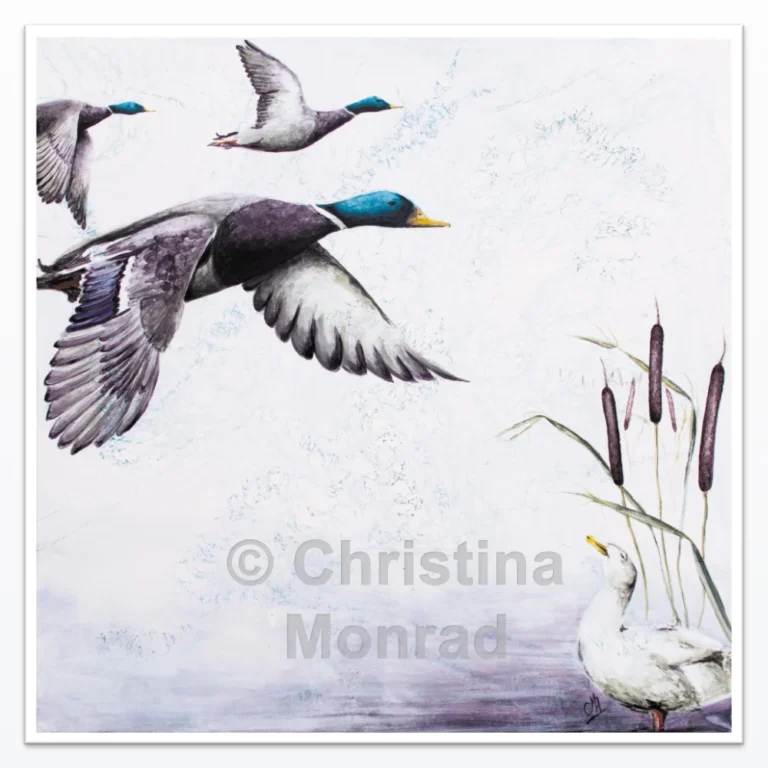 Maleri af fire flyvende ænder over en sø med dunhammer og en siddende and i forgrunden, malet af Christina Monrad.