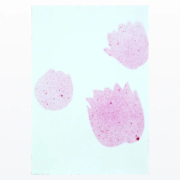 Billede med tre lyserøde blomsterformer lavet med stencils og spraymaling på lyseblå baggrund.